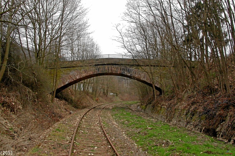 Bahn 205.jpg - Die Draisinenstrecke bei Erdesbach.